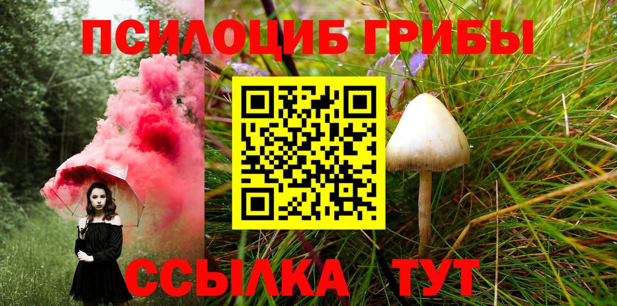 Псилоцибиновые грибы Magic Shrooms  Псилоцибиновые грибы Cubensis  Электрогорск  Вход с VPN 