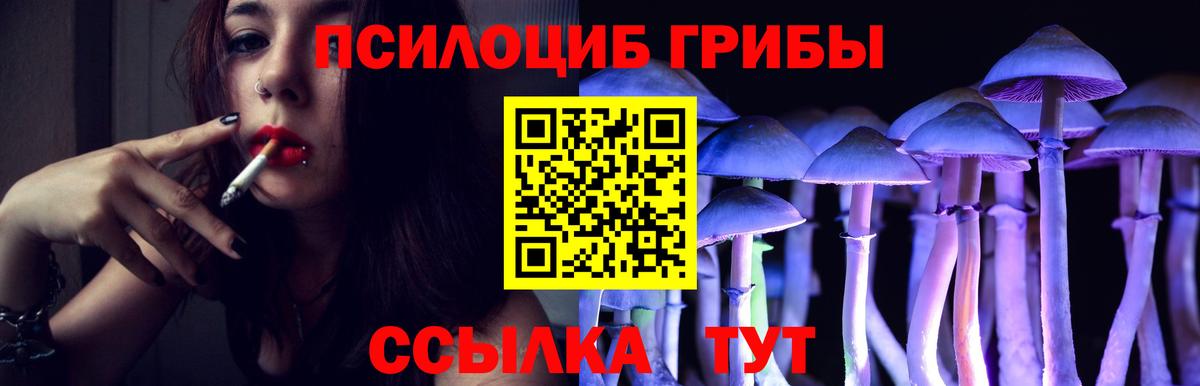 Галлюциногенные грибы Cubensis Электрогорск